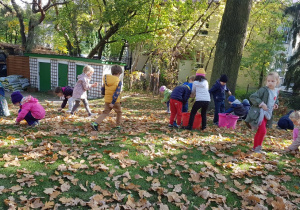 Dzieci zbierają wspólnie żołędzie w ogródku przedszkolnym